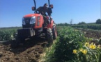 Les producteurs locaux s'organisent face à la crise