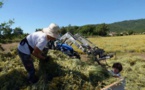  SERRA DI FIUM'ORBU  L'immortelle du solstice d'été 