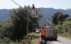 Des poteaux téléphoniques remplacés après leur vol