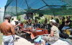 AIACCIU  Le potager garde la cote