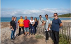 La préservation des posidonies au cœur du nettoyage de la plage de Capo di Feno