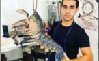 SANT'AMBROGGIO Le homard coule des jours heureux à Stella Mare