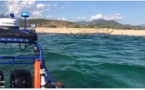 VIDEO - Plage de Cap Laurosu : plusieurs personnes emportées par le courant à cause d'un jeu dangereux 