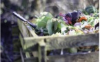 Zéro déchets : le Syvadec relance le compostage avec 80 distributions gratuites de composteurs 