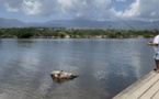 Une pêche de loisir dans une carte postale 