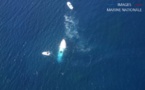 Un yacht italien heurte un rocher au large de l'île de Cavallo 