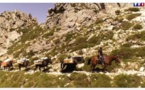 A la découverte de la Corse : un muletier qui approvisionne les refuges du GR20