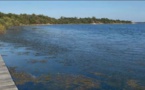 A GHISUNACCIA Découverte de l'étang d'Urbinu