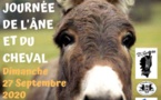 Biguglia : la Journée du cheval et de l’âne aura bien lieu 