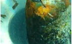 Engin explosif sur la plage A Casella à l'Ile-Rousse? 