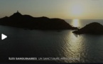 À la découverte des îles Sanguinaires en Corse