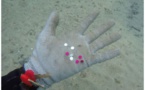 Les paillettes des bouées gonflables, la nouvelle pollution en Méditerranée dénoncée par une association d'Antibes