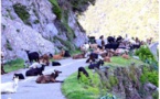 Entre Pietra et Novale 