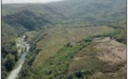 ENVIRONNEMENT  Tavignanu Vivu continue le combat