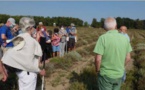 GHISONACCIA  L'immortelle de Corse au travers du prisme de la non-voyance