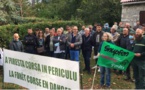 La forêt corse en danger