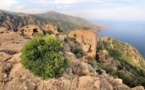 le château de Porto et les calanche
