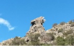 Entre Barchetta et Ponte Novu, un aigle de pierre