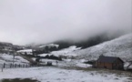 BASTELICA  La neige contraint les bergers d'Ese à transhumer en urgence