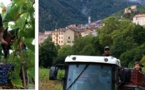 CORTI Récolter les fruits de la terre