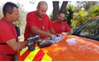 Défense contre les incendies : les réserves communales de Haute-Corse fortement sollicitées cet été