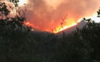 Plusieurs mises à feu à Feliceto : 10 hectares partis en fumée