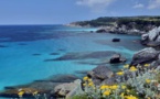 DE NOUVELLES ACQUISITIONS SUR LE LITTORAL Le conseil des rivages étend sa protection