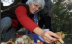 RENCONTRE AVEC UN MYCOLOGUE  La belle saison des champignons