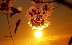 Météo de la semaine en Corse : douceur automnale au programme 