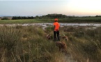 Chasse : la préfecture de Haute-Corse précise les conditions pour obtenir une dérogation