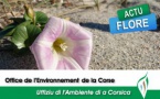 Interview de François Sargentini relatif à la prévention de l’introduction de Xylella fastidiosa en Corse