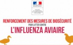 Recommandation sur la Grippe Aviaire