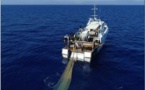 L'Europe n'a pas su régler la surpêche en Méditerranée