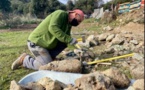  PIETRALBA  La formation en pierres sèches pour valoriser le patrimoine