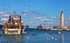Mare latinu : Les pêcheurs méditerranéens français annoncent des actions le 15 décembre.