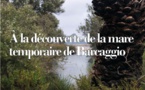 A La découverte de la mare temporaire de Barcaggio