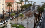 La place des Palmiers est en train de perdre ses arbres