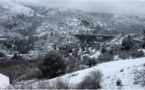 Vidéo : un hiver de trop dans le Niolu