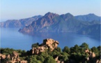 Gilles Simeoni au One Planet Summit : « Les îles ont un rôle à jouer dans la préservation de la biodiversité »