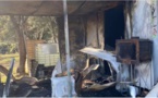 Corte : une apicultrice victime d'incendies d'apparence criminelle : "Ça ne m'empêchera pas de travailler"