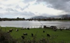 INTEMPÉRIES   La Gravona et le Prunelli en crue