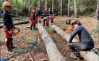 SARTÈ  Les élèves du Campus Agri dans les pas d'un exploitant forestier