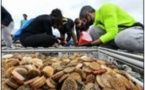 Pollution aux biomédias la Corse suit le procès italien