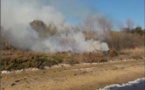 GHISUNACCIA  Trop de menaces sur la zone Natura 2000 Urbinu-Pinia