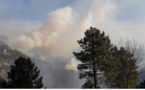 Plusieurs feux de forêt se déclarent en Haute-Corse
