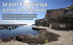 Le port d'Erbalunga panse ses blessures 