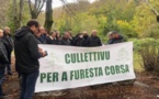U cullettivu per a furesta corsa veut remettre "la forêt au centre du débat public"
