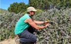 MONTICELLU   Le parc de Saleccia,un environnement à préserver 