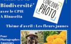 Prunelli-di-Fiumorbu : Un concours photo lancé sur le thème de la biodiversité