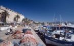 Mare latinu : L'intelligence artificielle au service de la pêche en Corse.